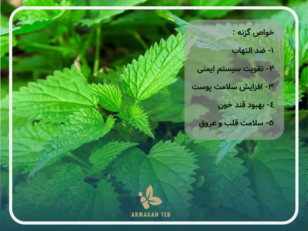خواص گزنه