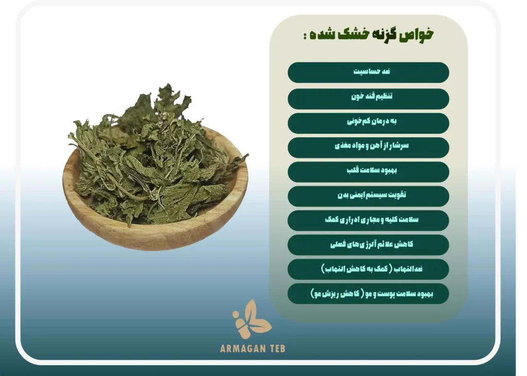 خواص گزنه خشک شده