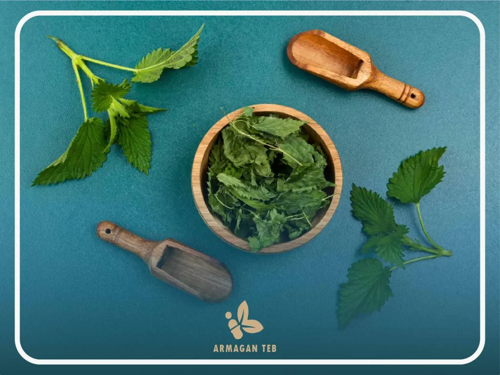 خواص گزنه از دیدگاه طب سنتی