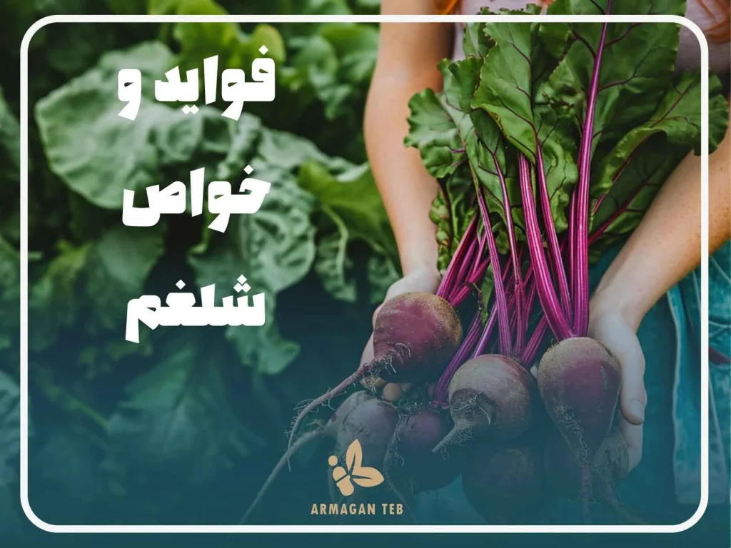 خواص شلغم